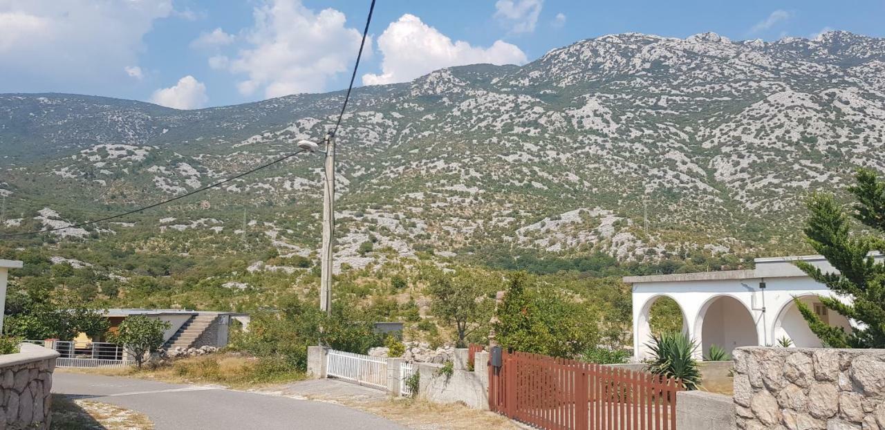 Apartmani Gabi Cesarica Exterior photo
